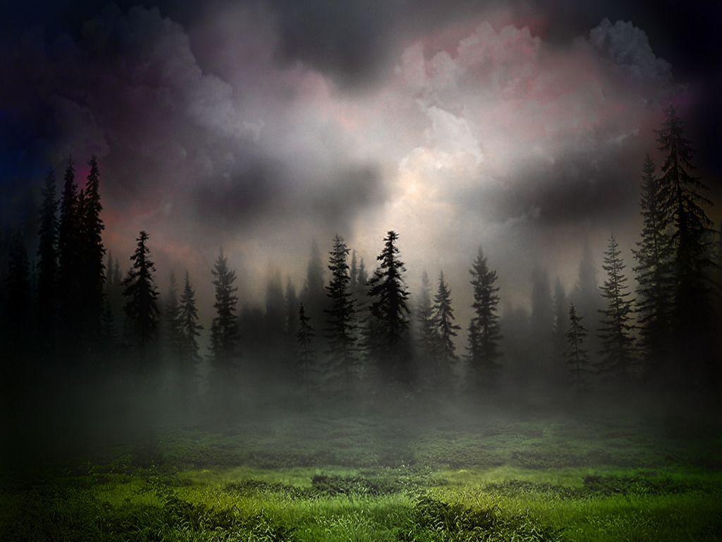 1024x768 Foggy Woods Background