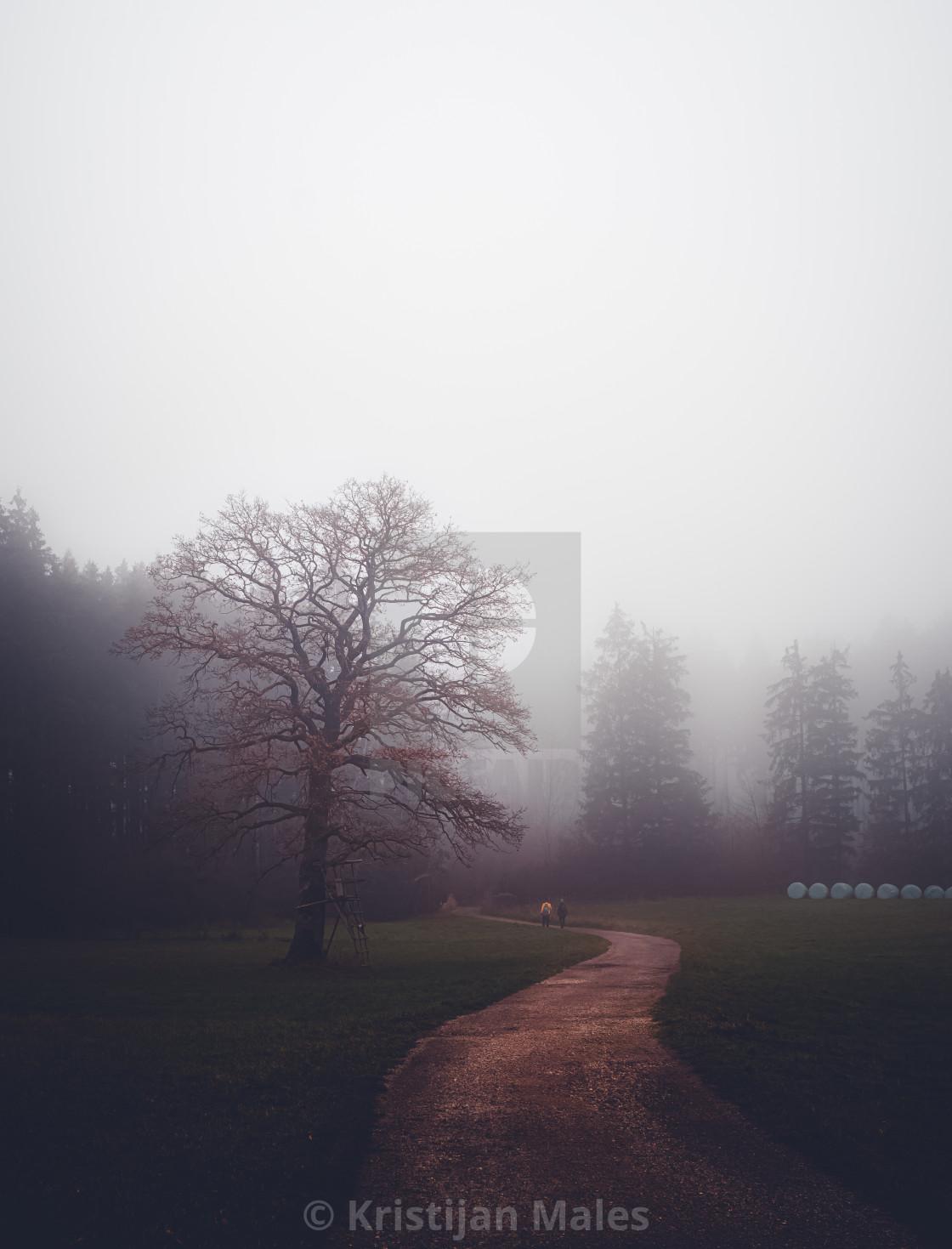 1120x1469 Foggy day, download or print for £12.00