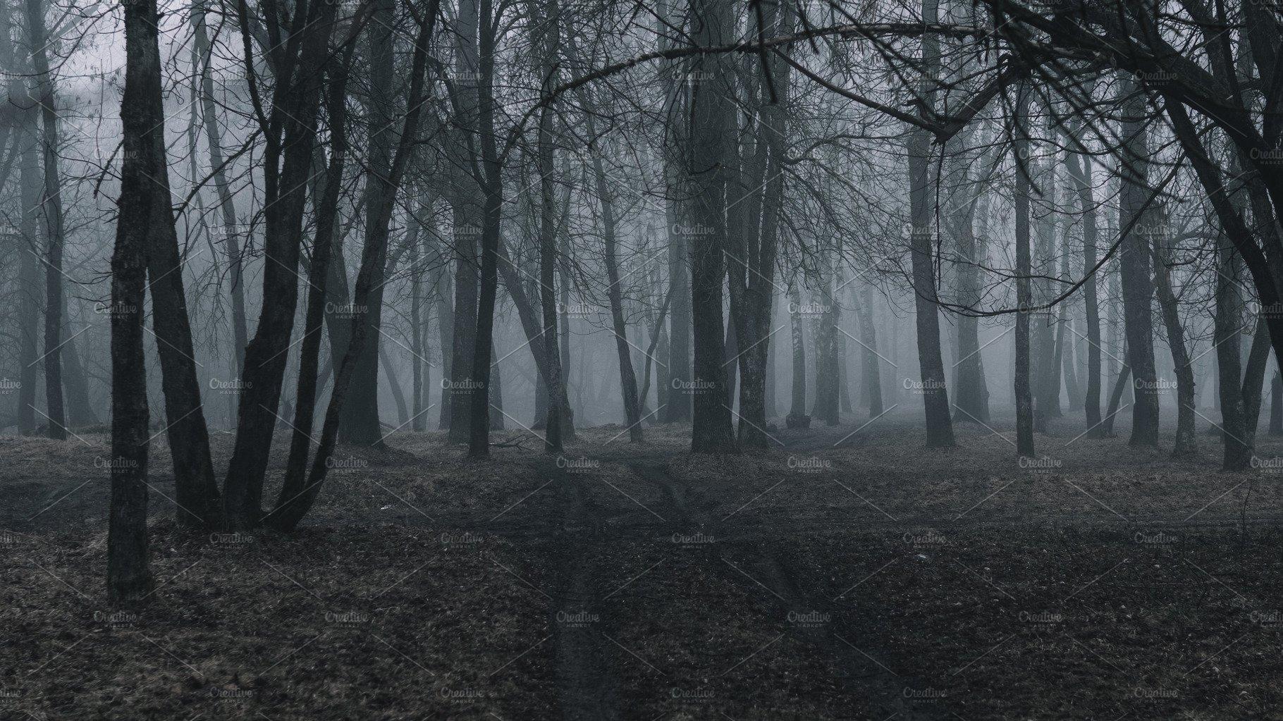 1820x1023 Gloomy Foggy Wallpaper Of The Autumn Forest. High Quality Nature Creative Market