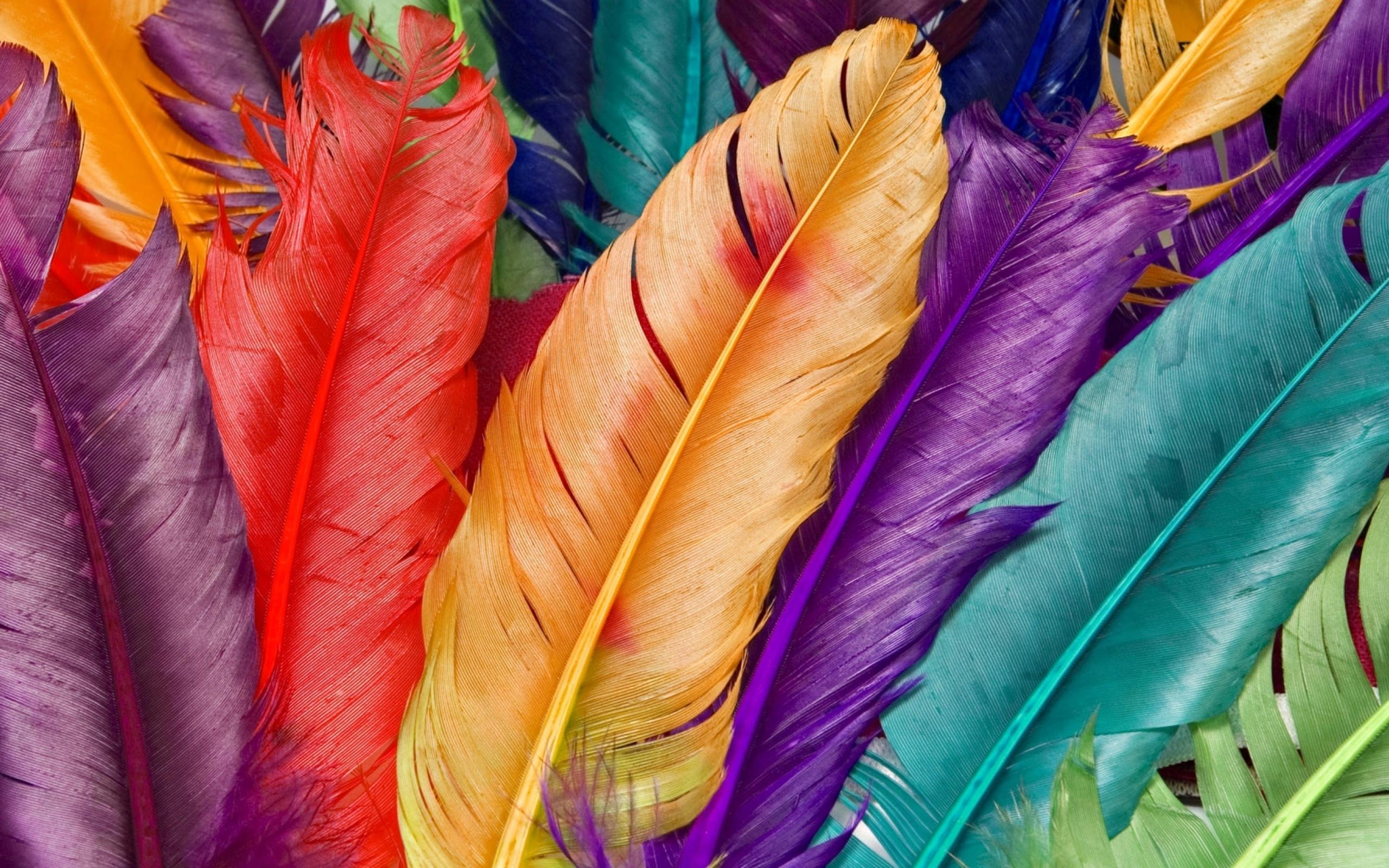 Cute Feather Wallpapers - Top Free Cute Feather Backgrounds ...