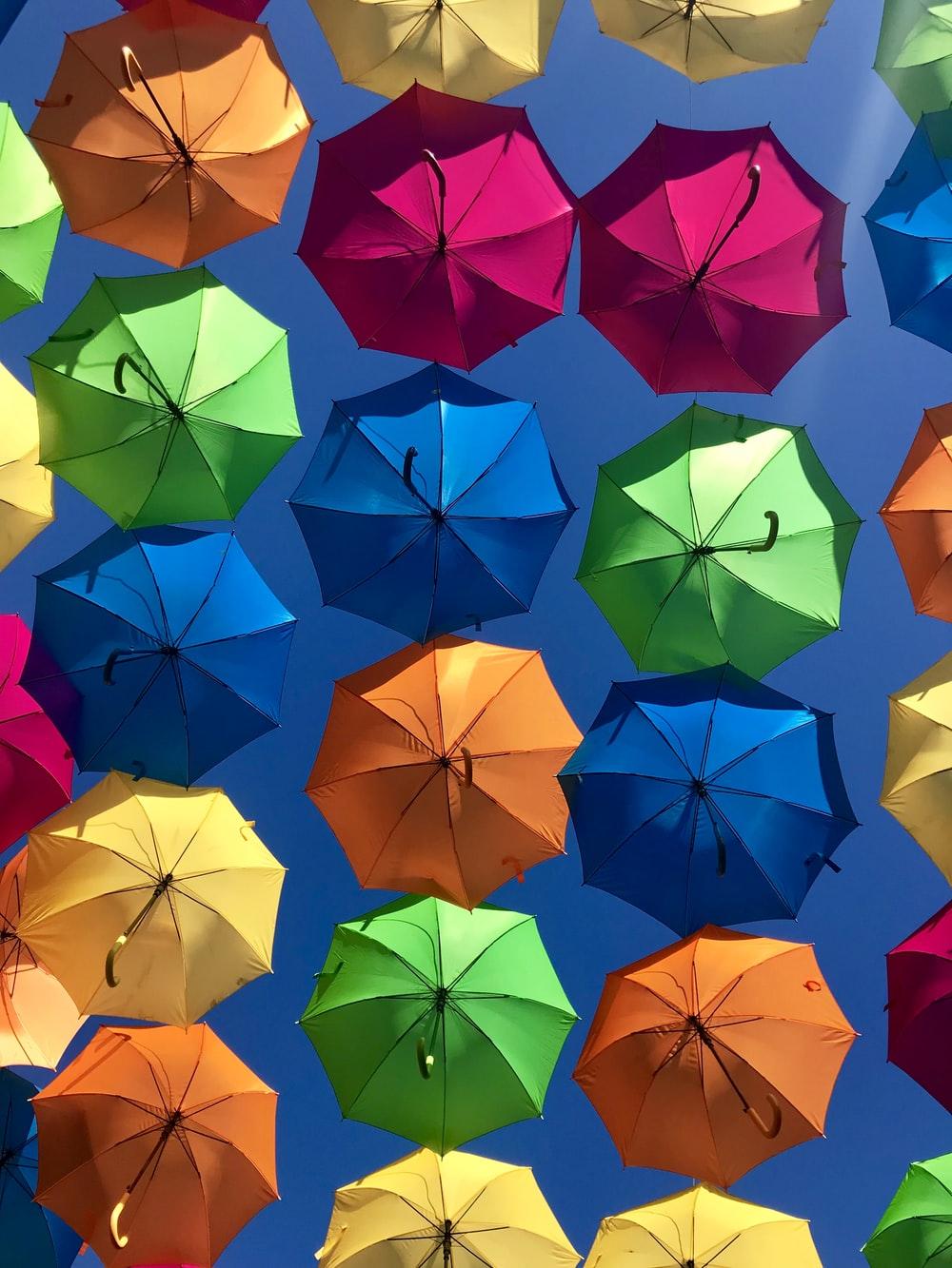 1000x1333 Colorful Umbrella Picture. Download Free Image