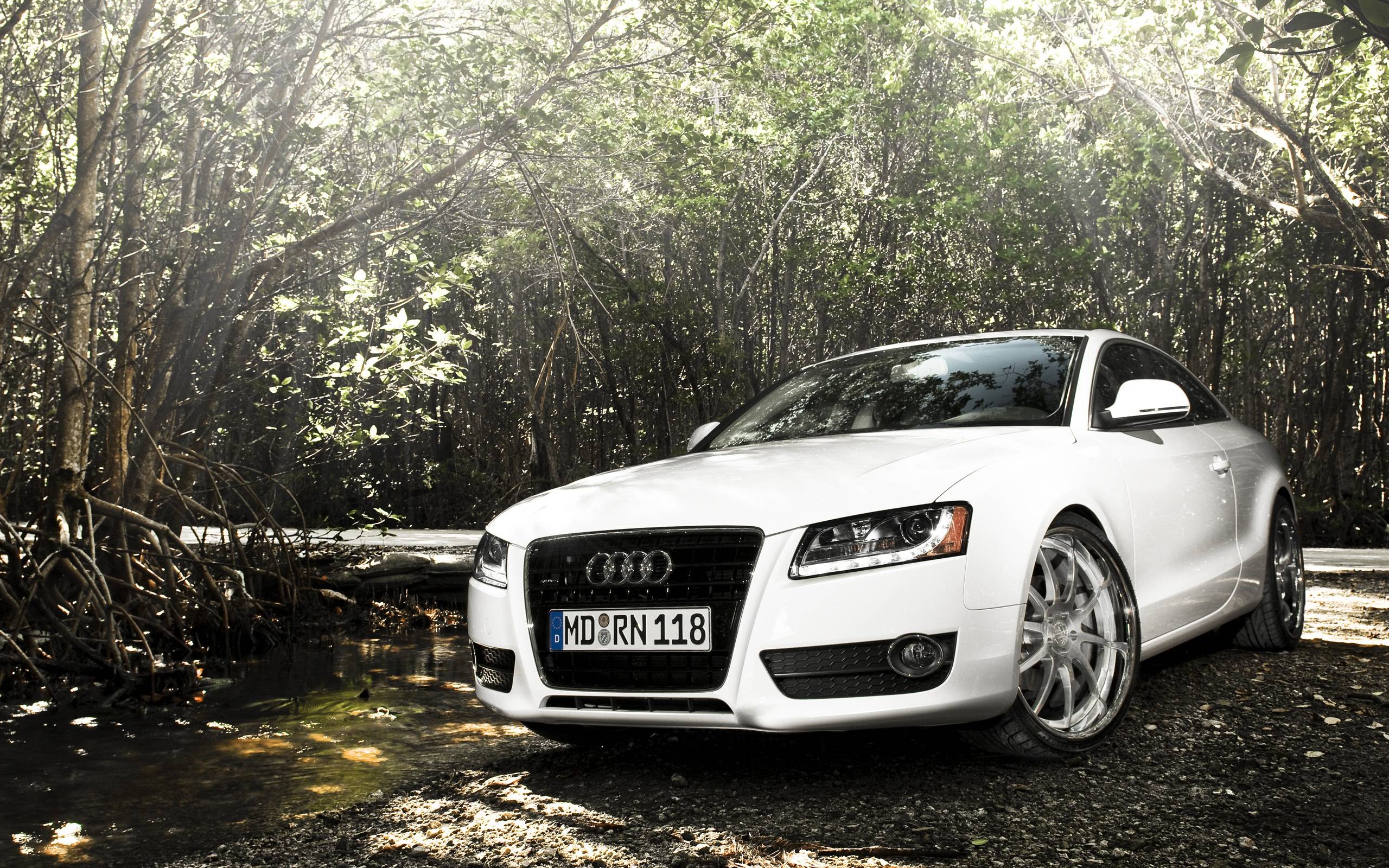 2560x1600 Audi A5 Wallpaper