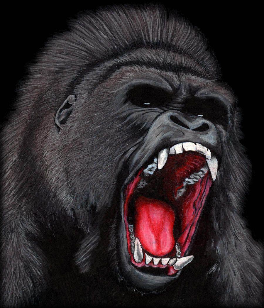 900x1050 Angry Gorilla Wallpaper