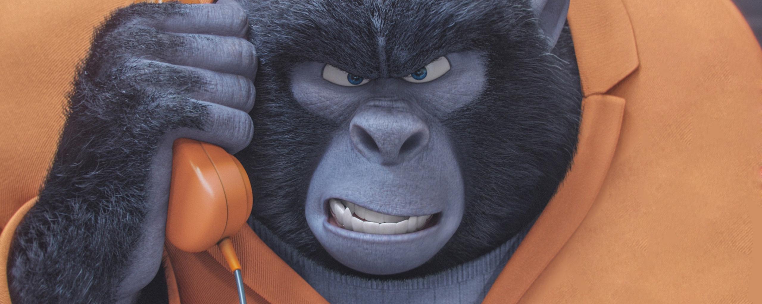2560x1024 Desktop Wallpaper Gorilla Of Sing Animation Movies, HD Image, Picture, Background, Nerv8m