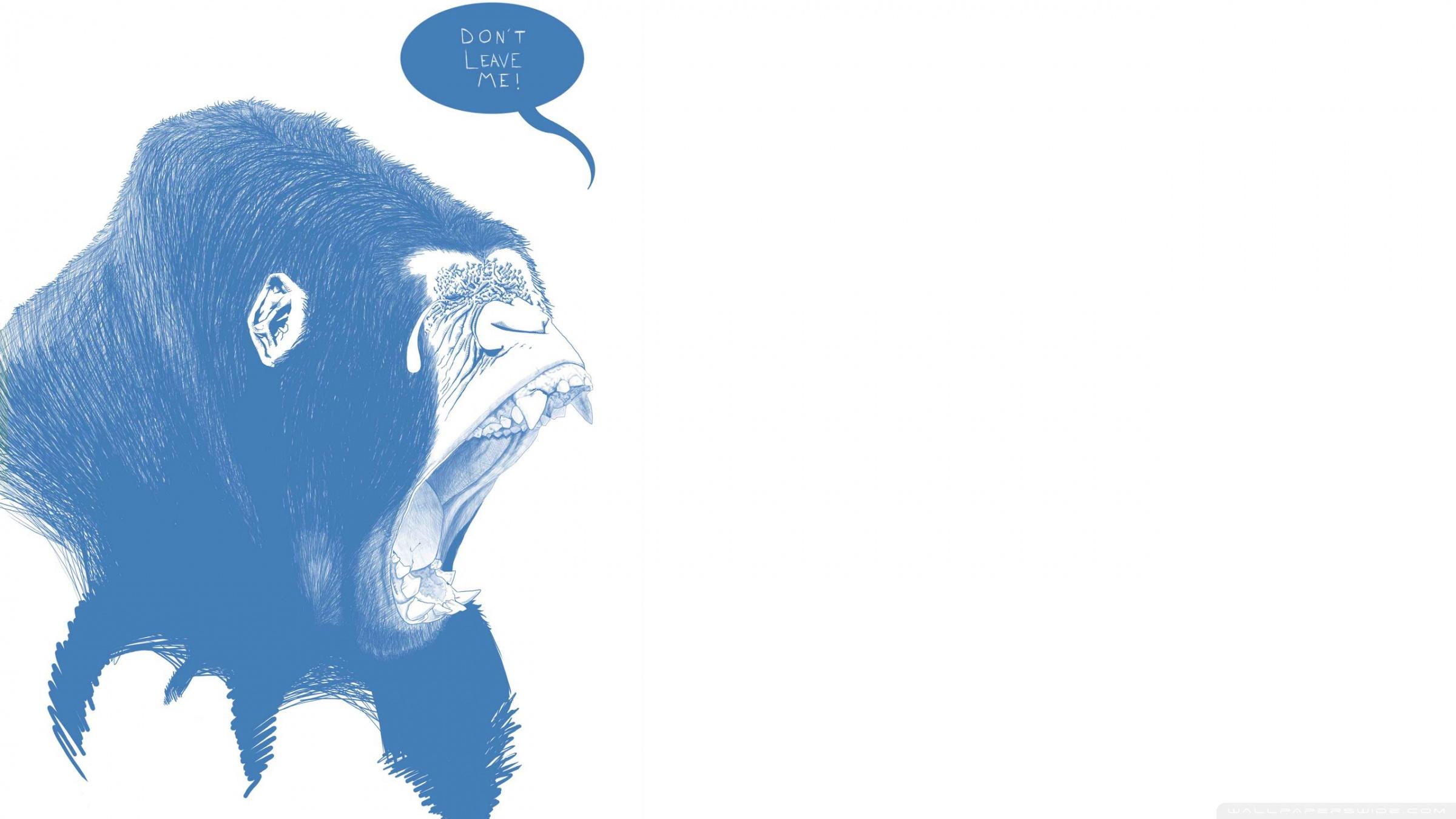 2400x1350 Funny Gorilla Ultra HD Desktop Background Wallpaper for 4K UHD TV : Tablet