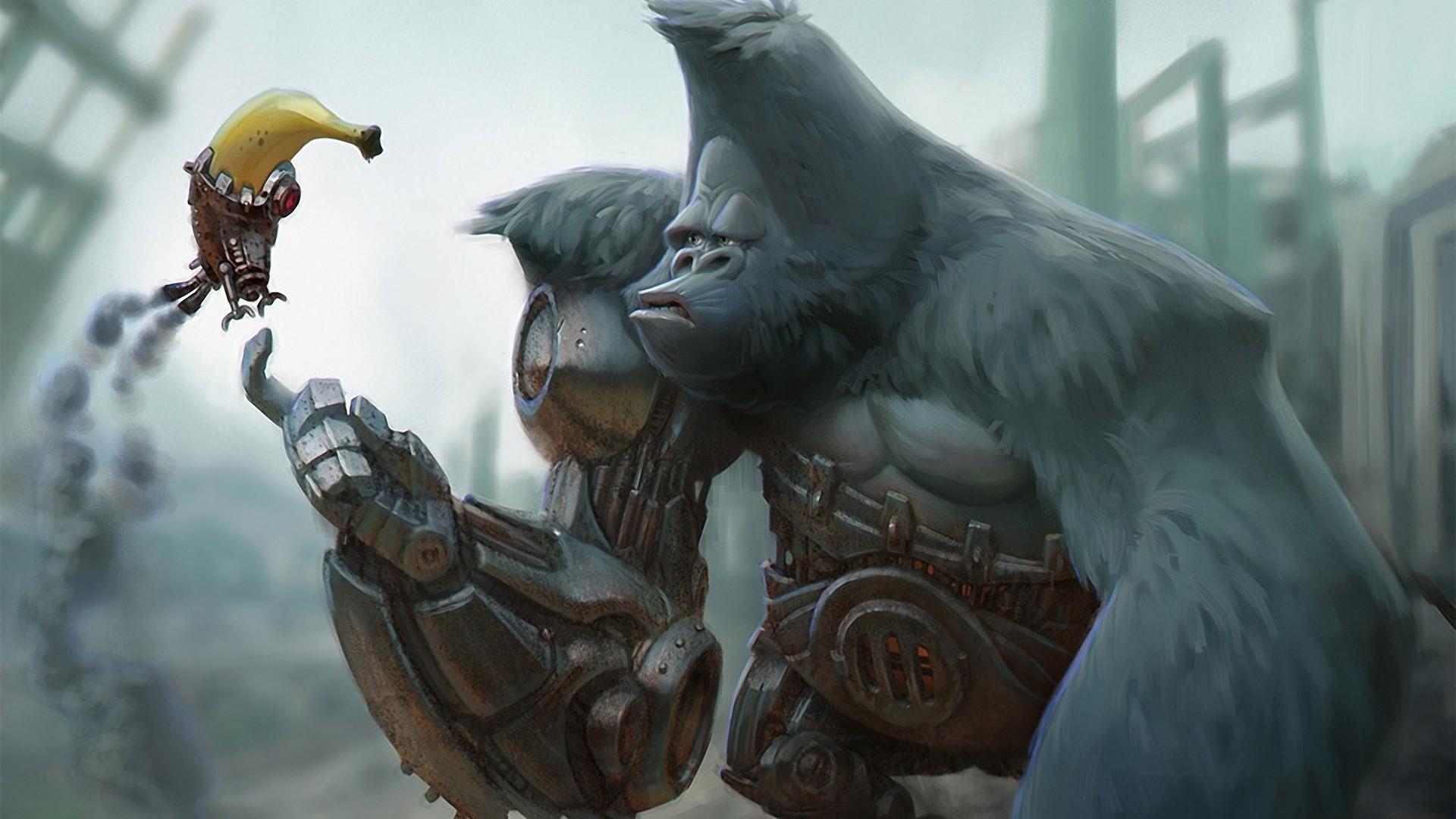 1920x1080 Monkey Funny Wallpaper background picture