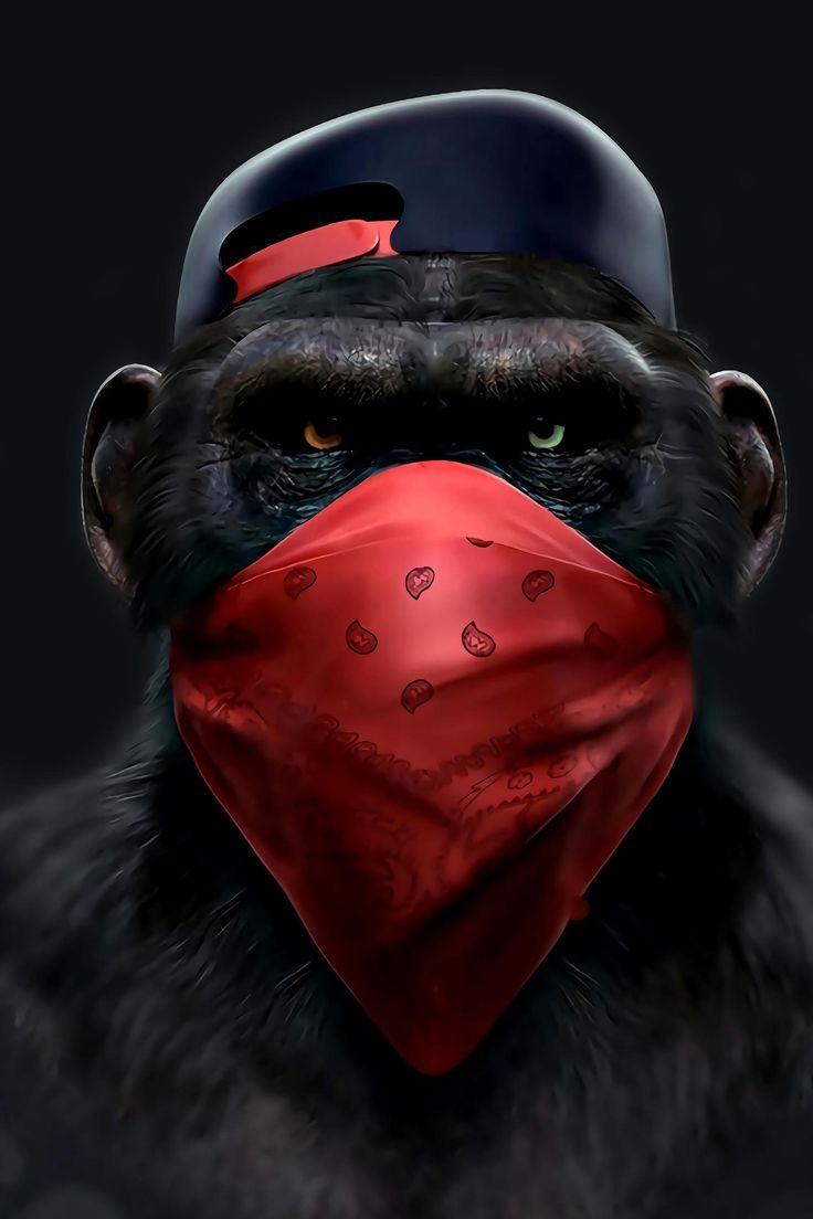 736x1104 Banksy Dj GorillaThinking Monkey Headphones3 wise swag. Etsy. Monkey art, Monkey wallpaper, Swag poster