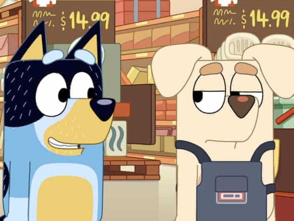 1024x768 Bad news Bluey, you're not diverse enough. Sunshine Coast Daily