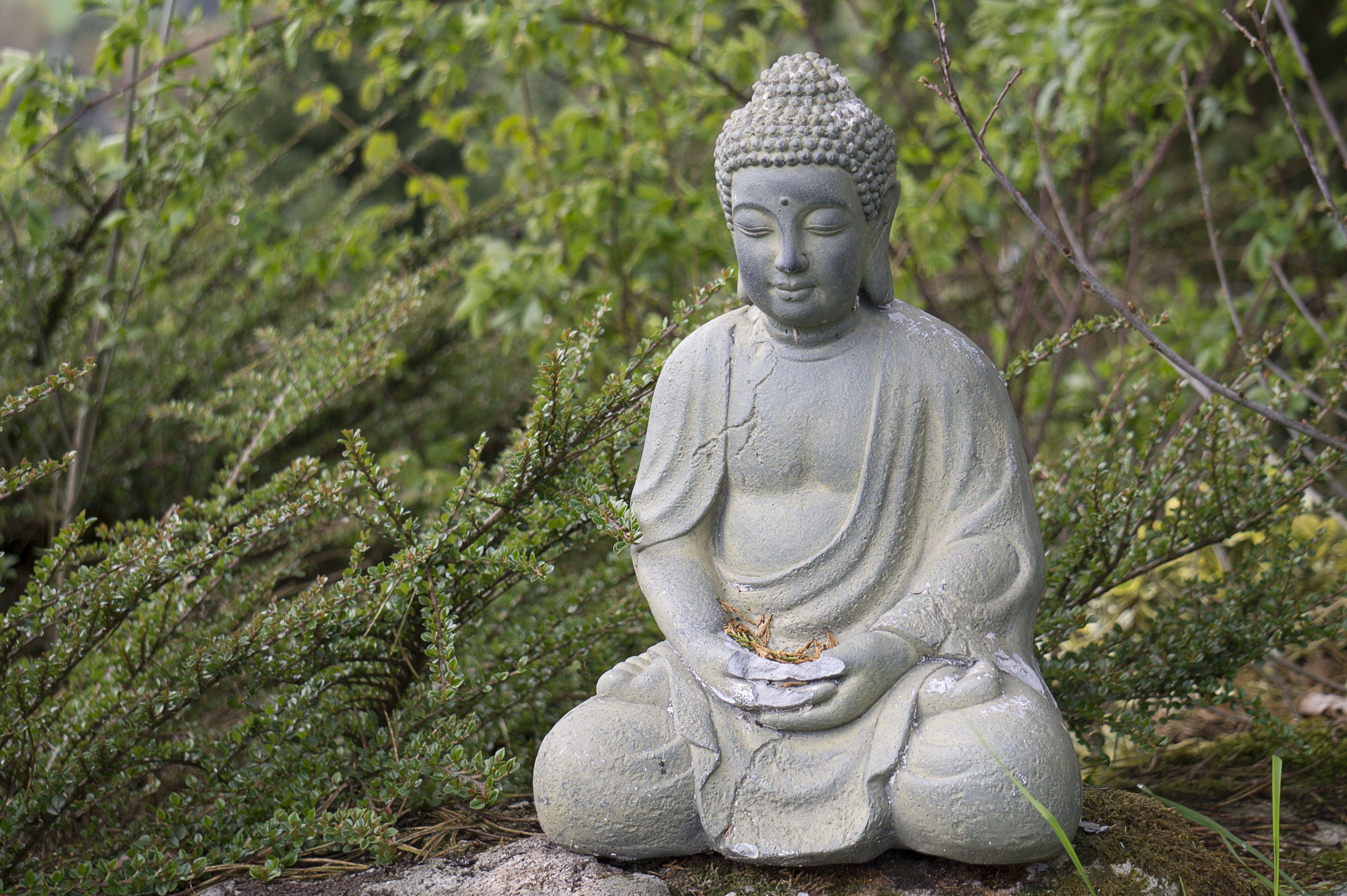 5026x3346 Buddha in a bush garden 4k Ultra HD Wallpaper. Background Image