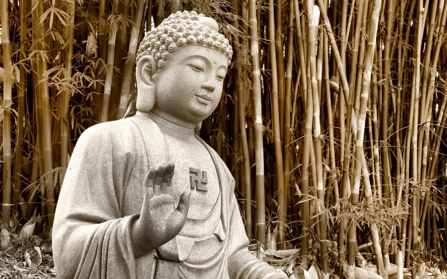 Bộ sưu tập hình nền máy tính Phật giáo 1440x900