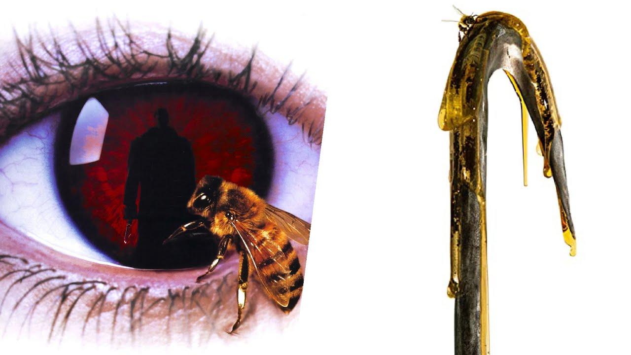 Candyman Wallpapers Top Free Candyman Backgrounds WallpaperAccess