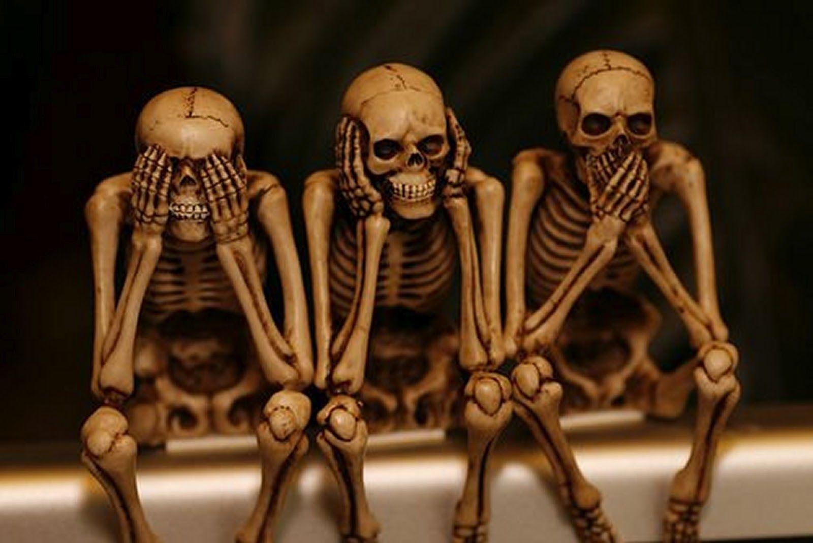 1600x1069 Very Funny Wallpaper HD