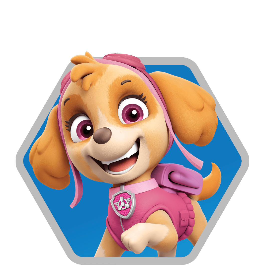 Skye Paw Patrol Wallpapers - Top Free Skye Paw Patrol Backgrounds ...