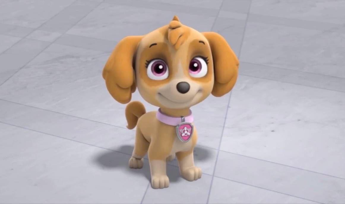 1162x688 Adorable Skye. Paw patrol pups, Skye paw patrol, Paw patrol characters