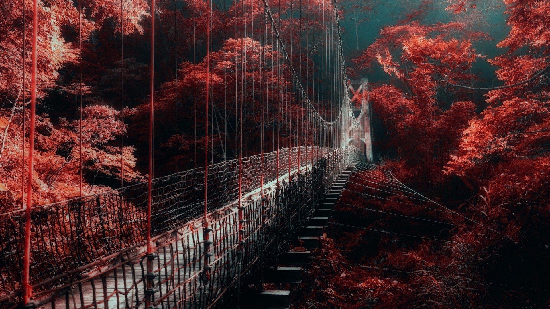1920x1080 Bridge Between Red Autumn Trees HD Dark Aesthetic Wallpaper