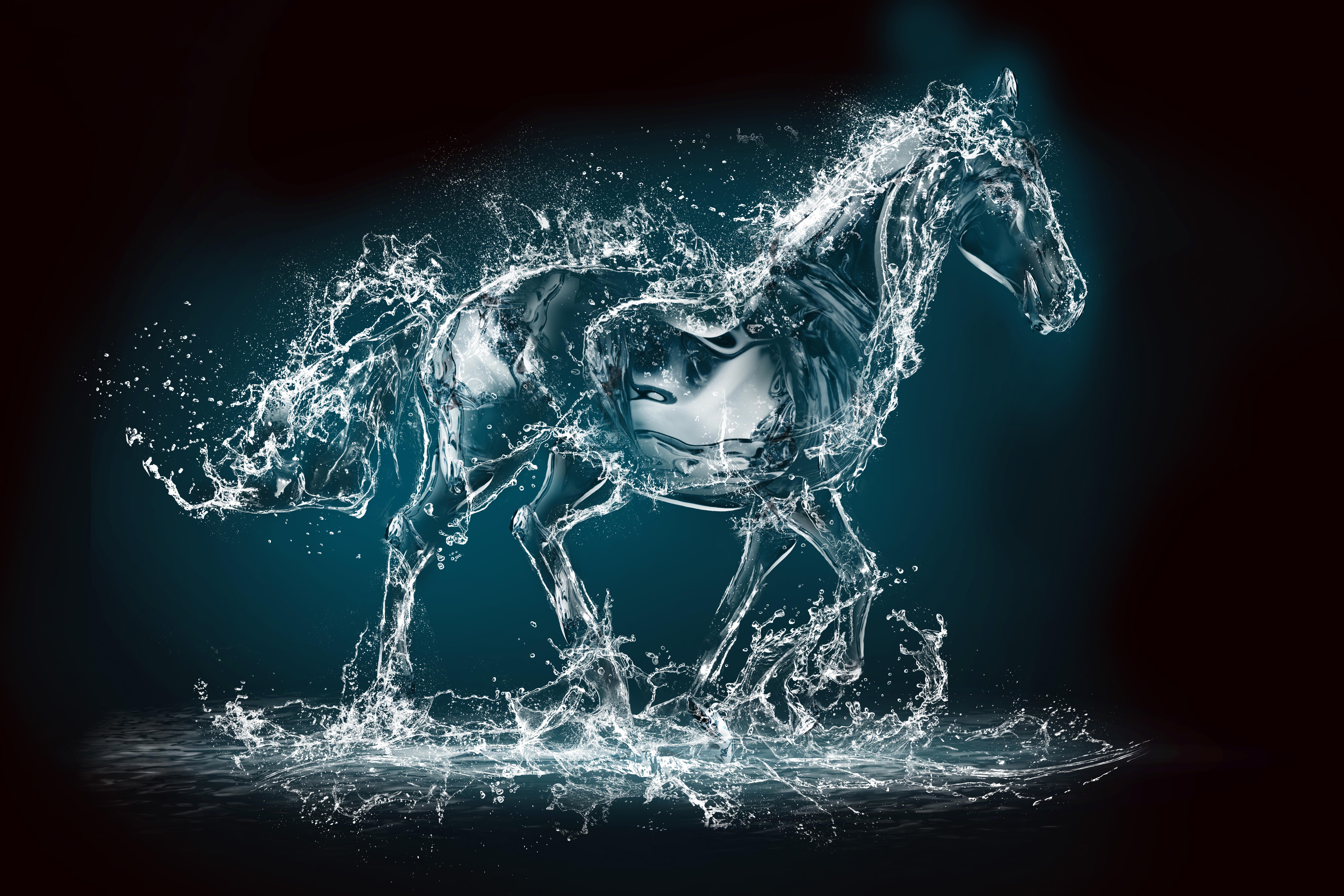 9440x6294 Horse 8k Ultra HD Wallpaper