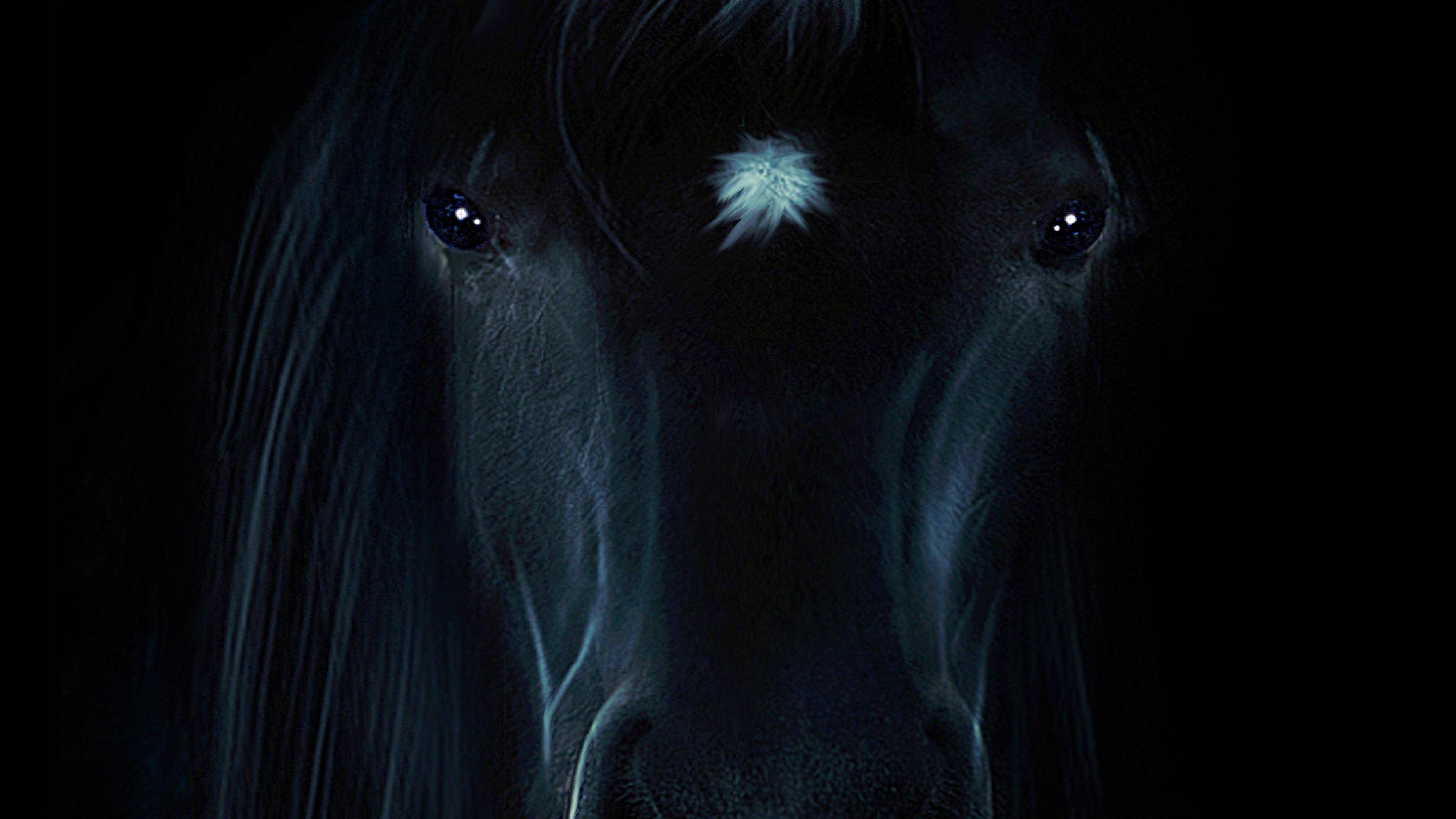 7680x4320 Horse Portrait 8K Wallpaper, HD Animals 4K Wallpaper, Image, Photo and Background