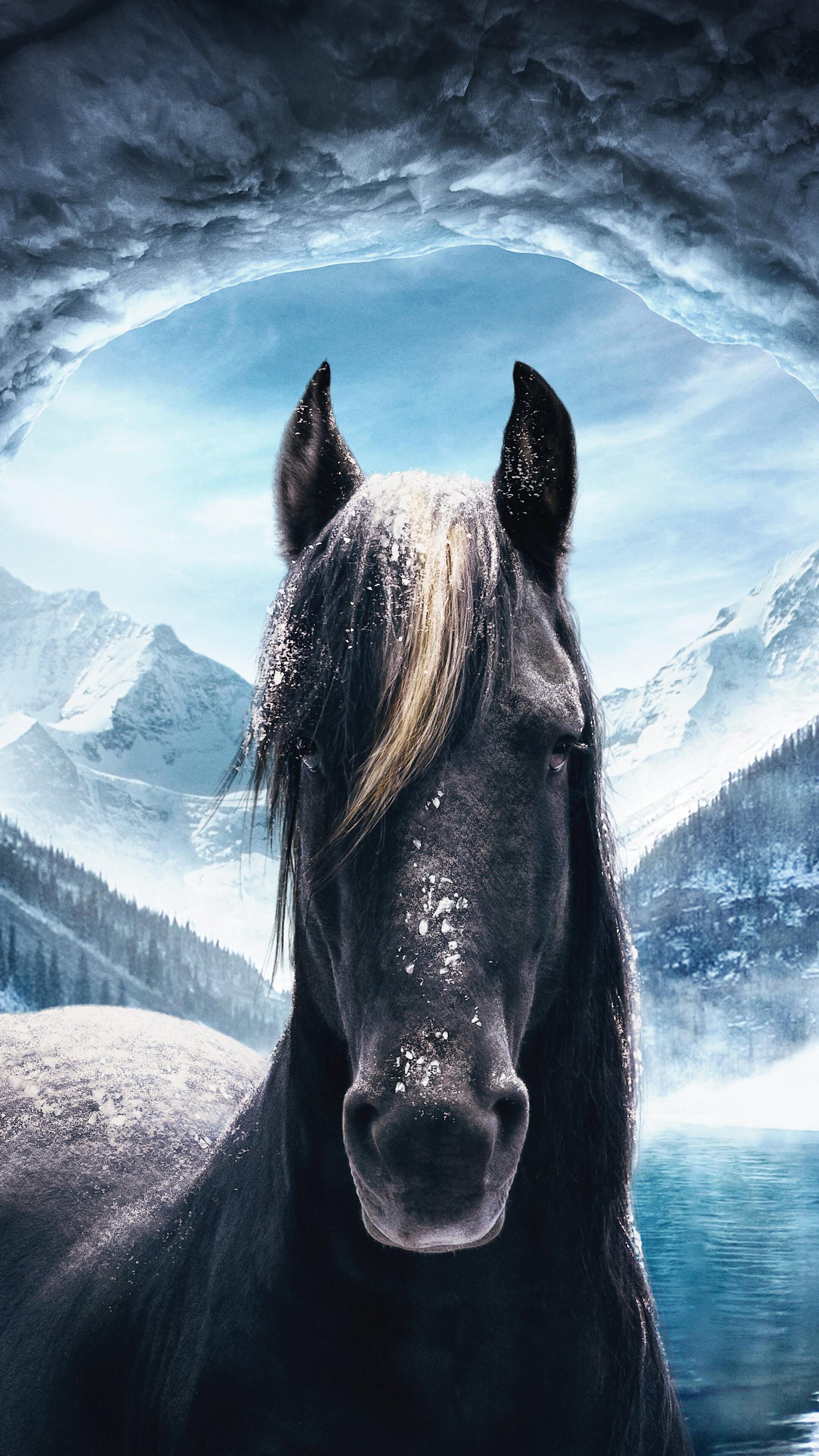8k Horse Wallpapers - Top Free 8k Horse Backgrounds - WallpaperAccess