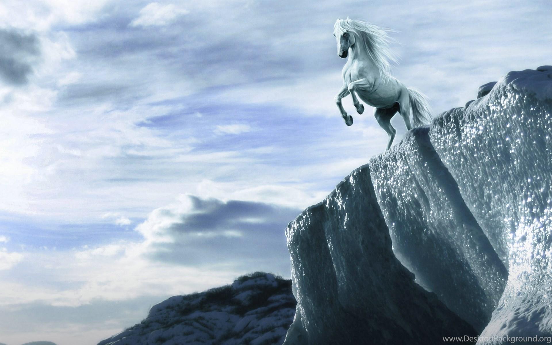 1920x1200 Animal Wallpaper: White Horse Wallpaper HD HD Background. Desktop Background