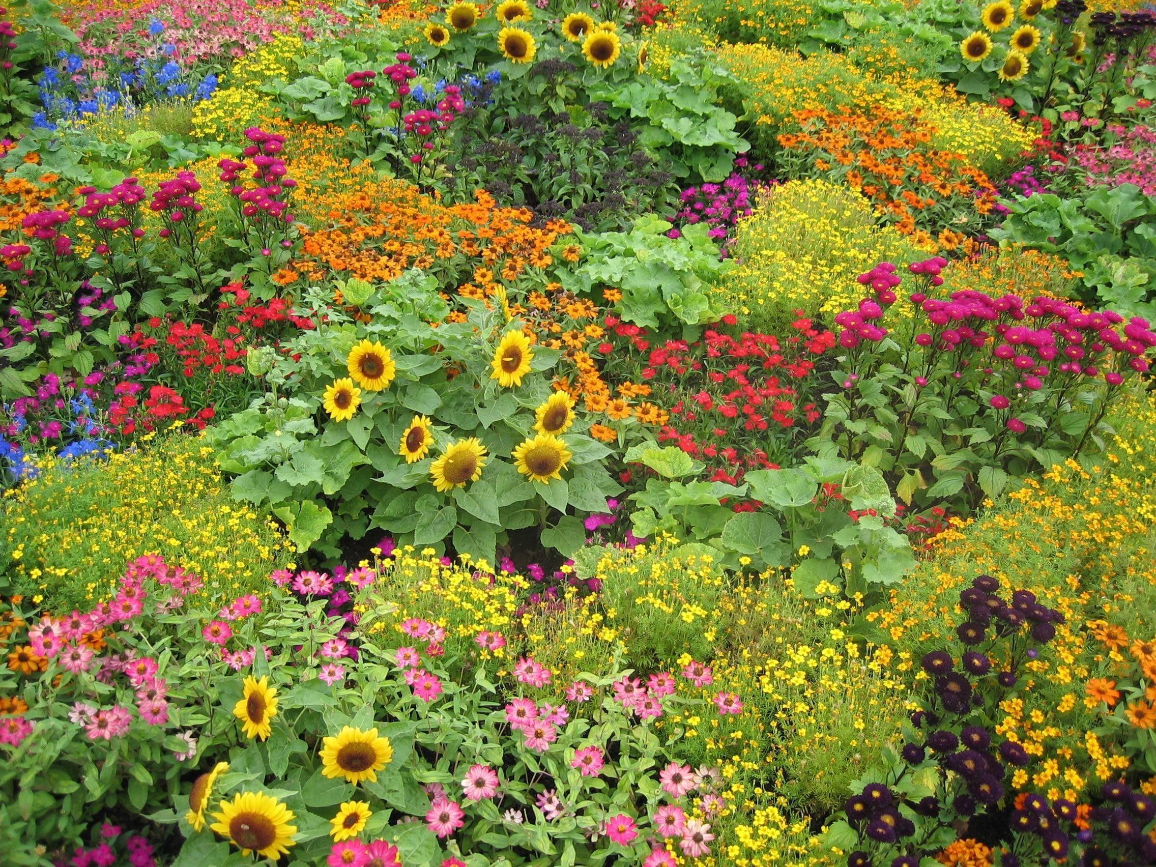 2272x1704 Flower Garden English Wallpaper