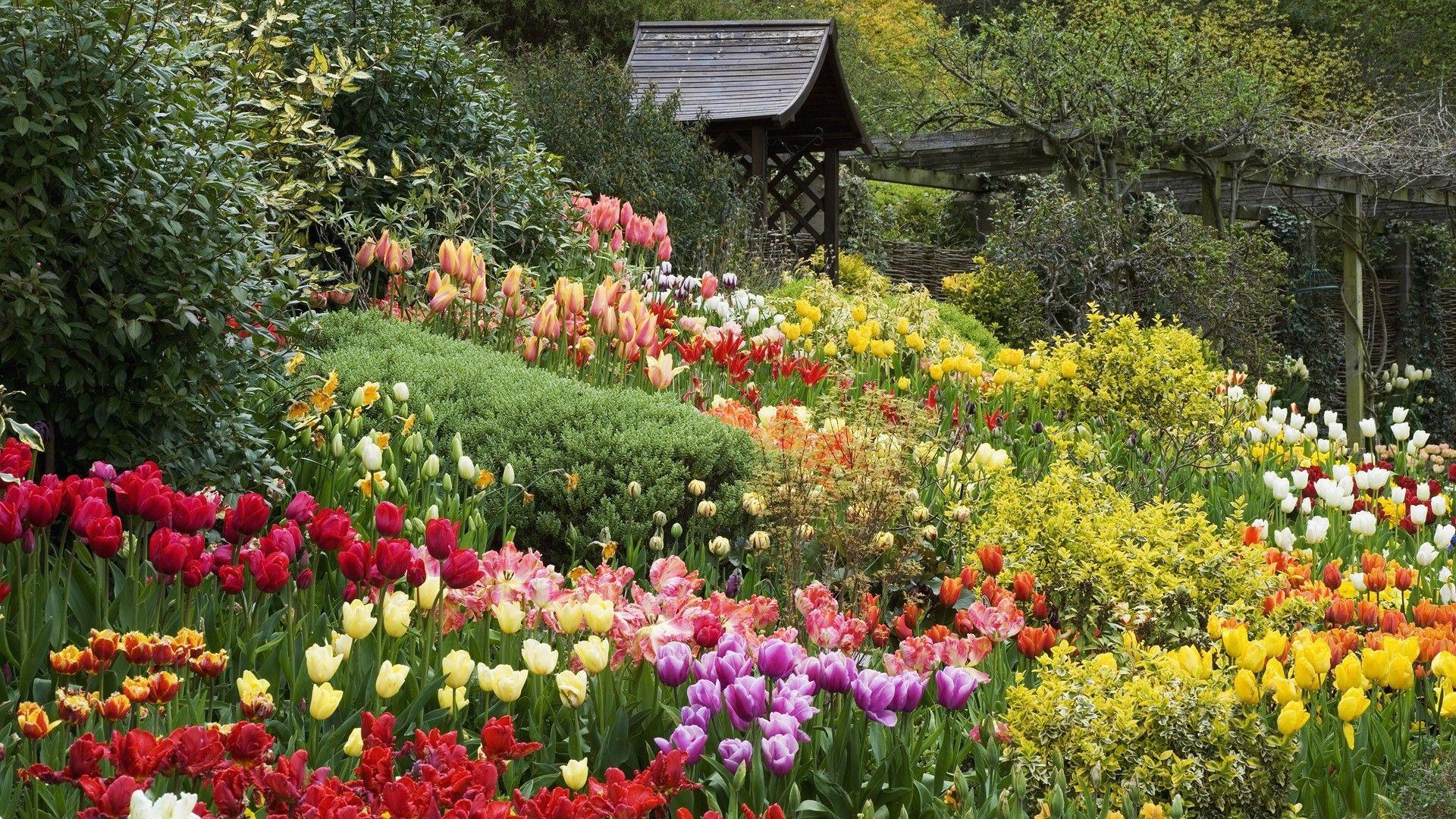 1920x1080 English Flower Garden Wallpaper, HD English Flower Garden Background