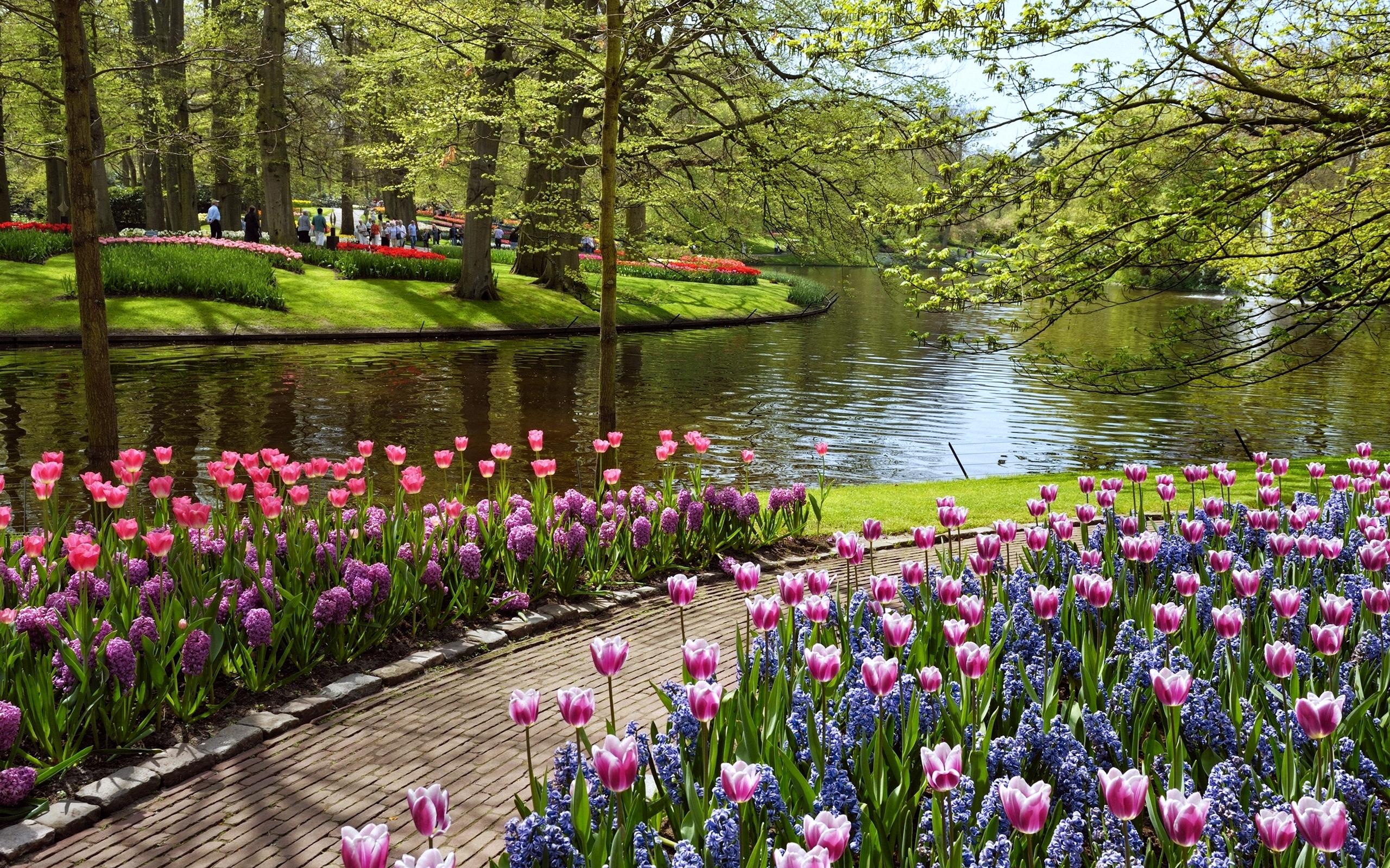 2560x1600 Free Summer Garden Desktop Wallpaper