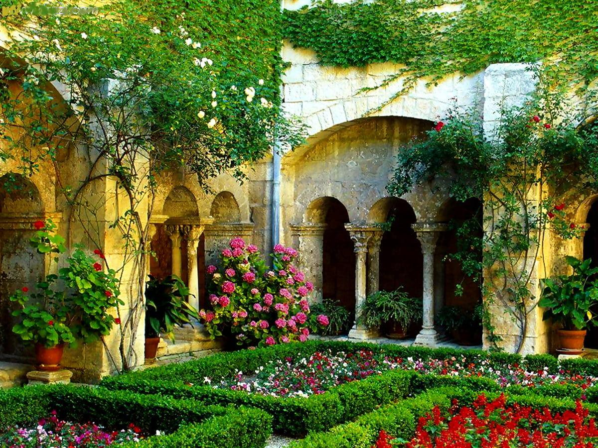 1200x900 4K Houseplant wallpaper. Download Free background
