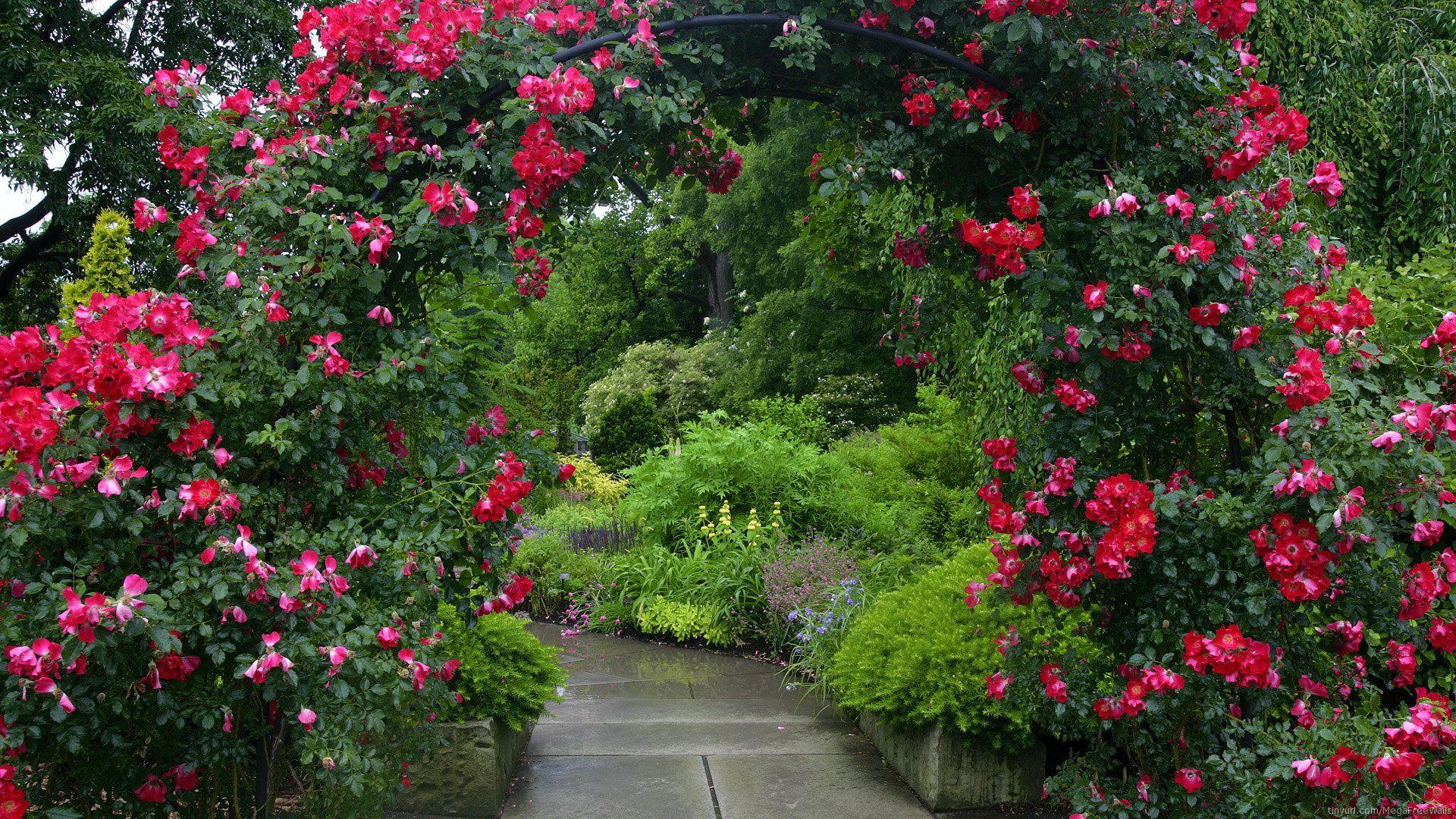 1920x1080 Flower Garden Background
