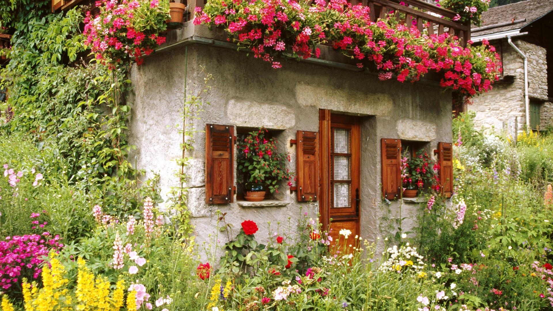 1920x1080 Garden wallpaper for desktop