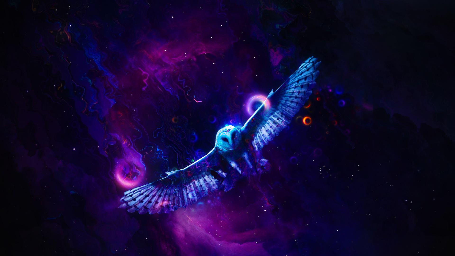 1920x1080 Neon Bird 1080P Laptop Full HD Wallpaper, HD Artist 4K Wallpaper, Image, Photo and Background