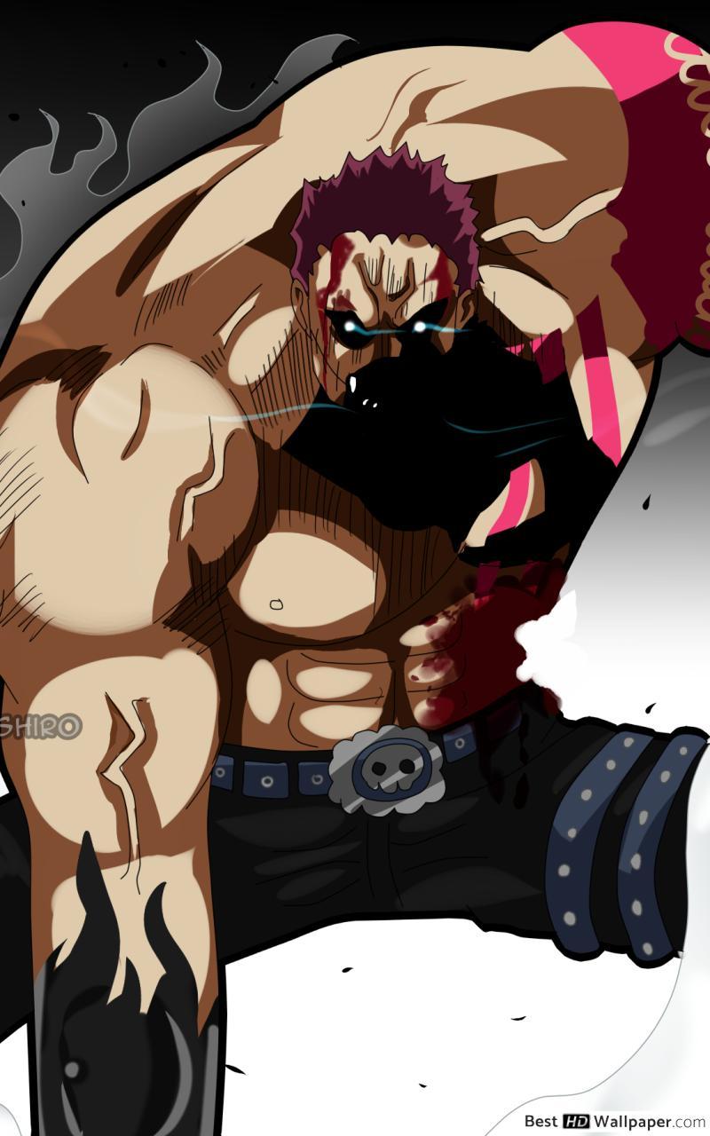 800x1280 One Piece HD wallpaper download