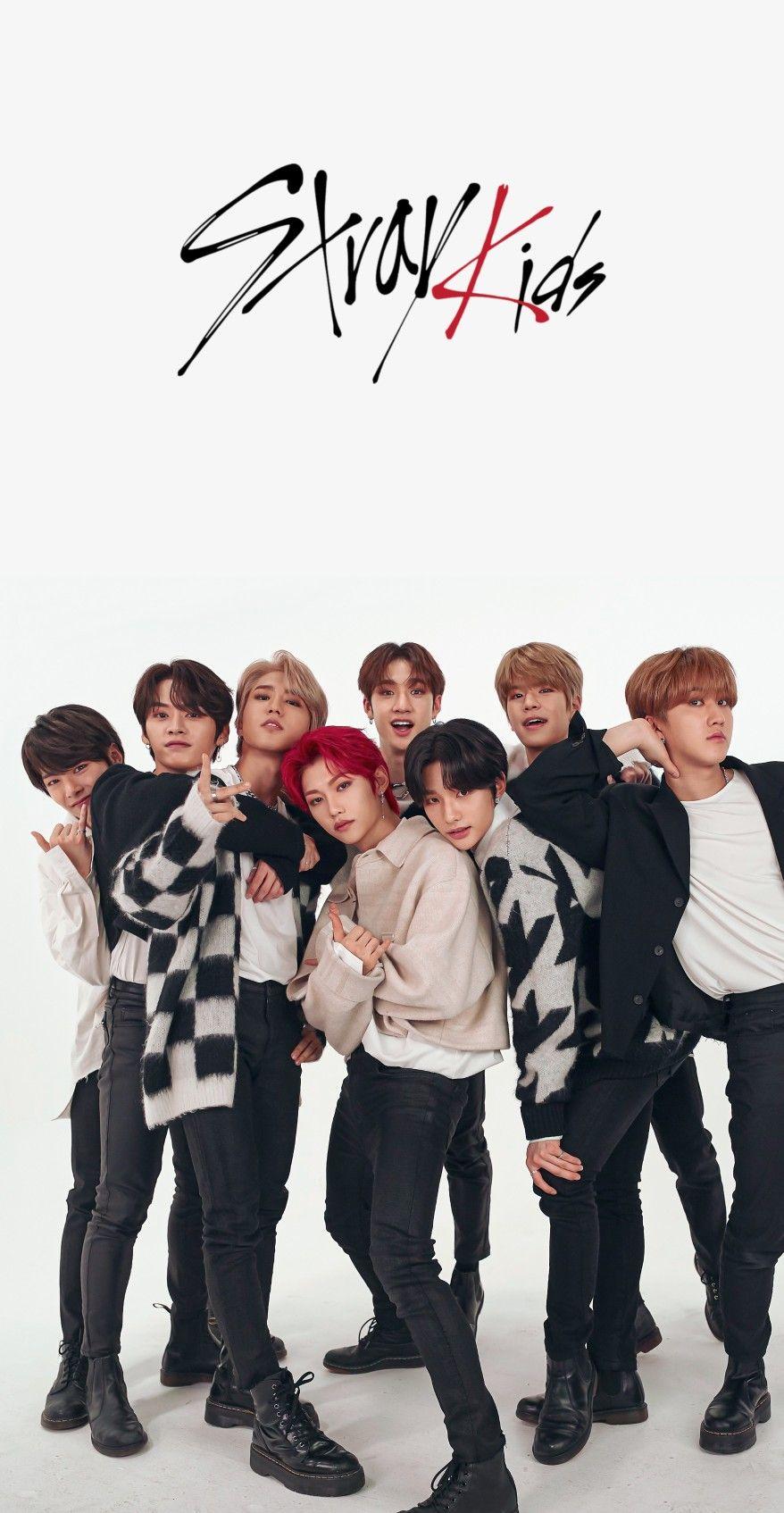 878x1694 A Beginner's Guide To Stray Kids