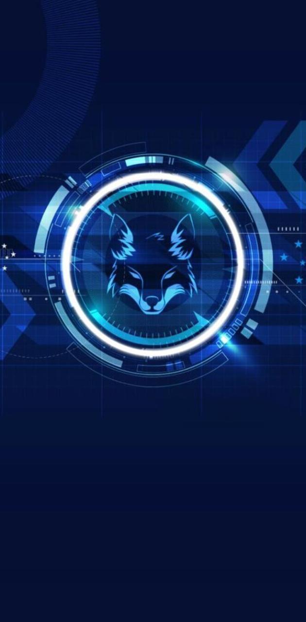 630x1280 Cruzeiro wallpaper