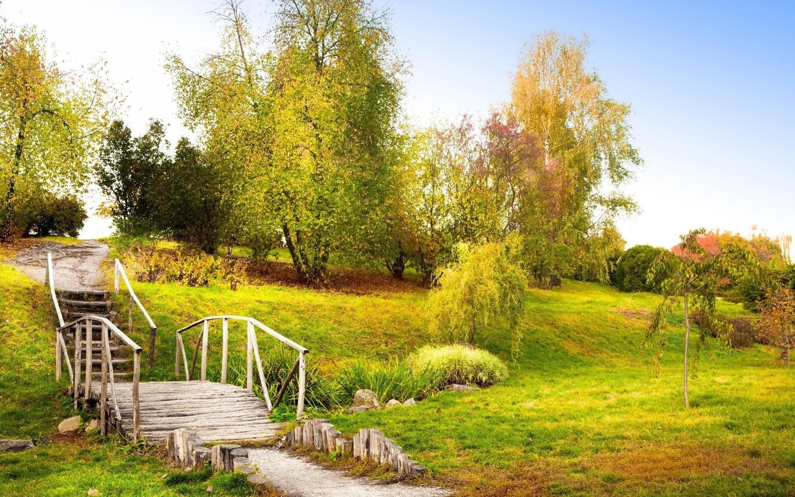 1600x1000 Free download Summer Summer Collection Nature HD Desktop Wallpaper Desktop [1600x1000] for your Desktop, Mobile & Tablet. Explore Summer Scenery Wallpaper Desktop. Summer Scenes Wallpaper, Beautiful Scenery Wallpaper Desktop