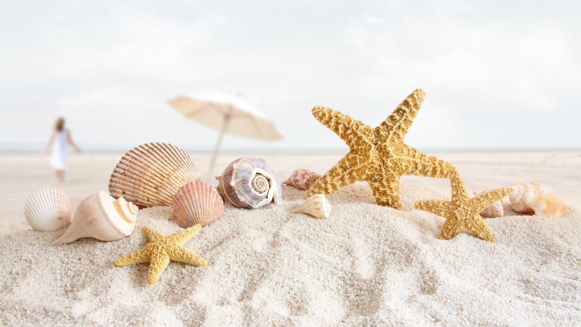 1920x1080 Beautiful Summer Scenery
