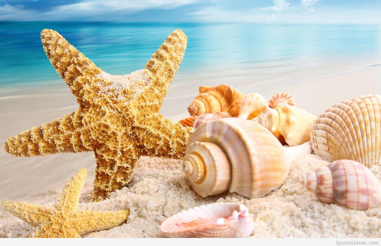 1280x827 Beautiful Summer Wallpaper