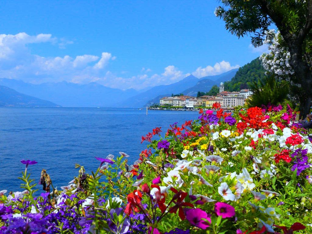 1024x768 Free download Beautiful Summer Wallpaper One HD Wallpaper Picture [1024x768] for your Desktop, Mobile & Tablet. Explore Beautiful Summer Background. Beautiful Summer Scenery Wallpaper, Beautiful Summer Picture for Wallpaper