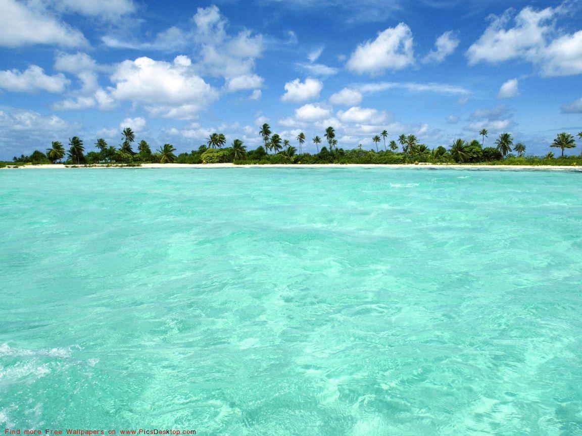 1152x864 Summer Desktop Wallpaper