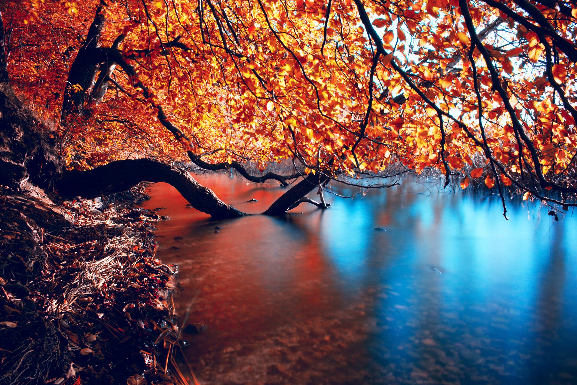 1920x1280 Earth Scenic Wallpaper:1920x1280