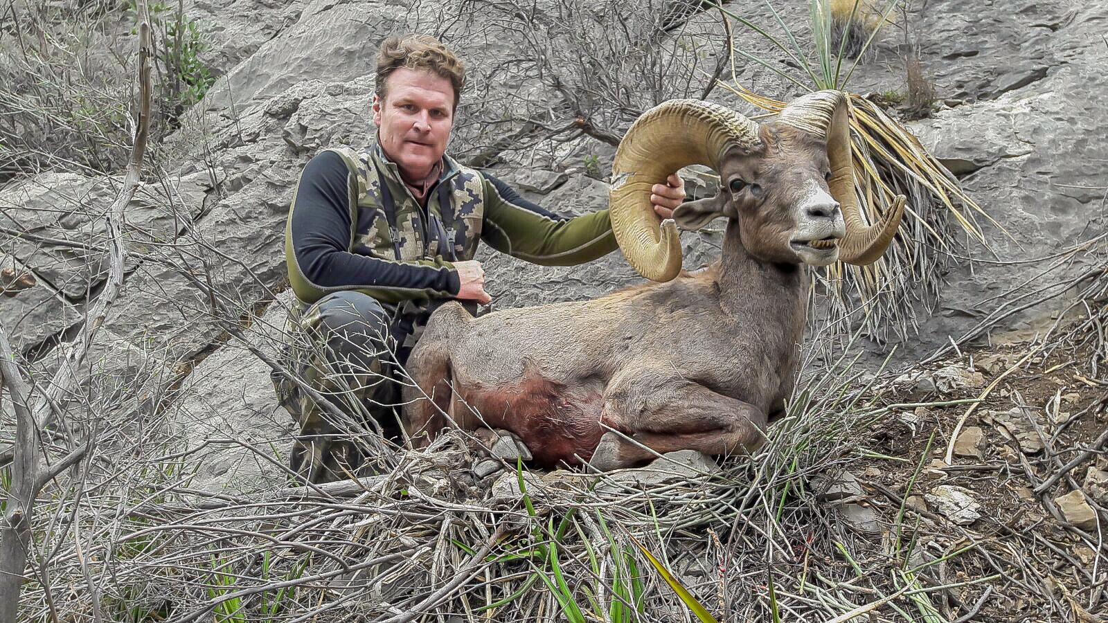 1600x900 Sheep Hunt Photo