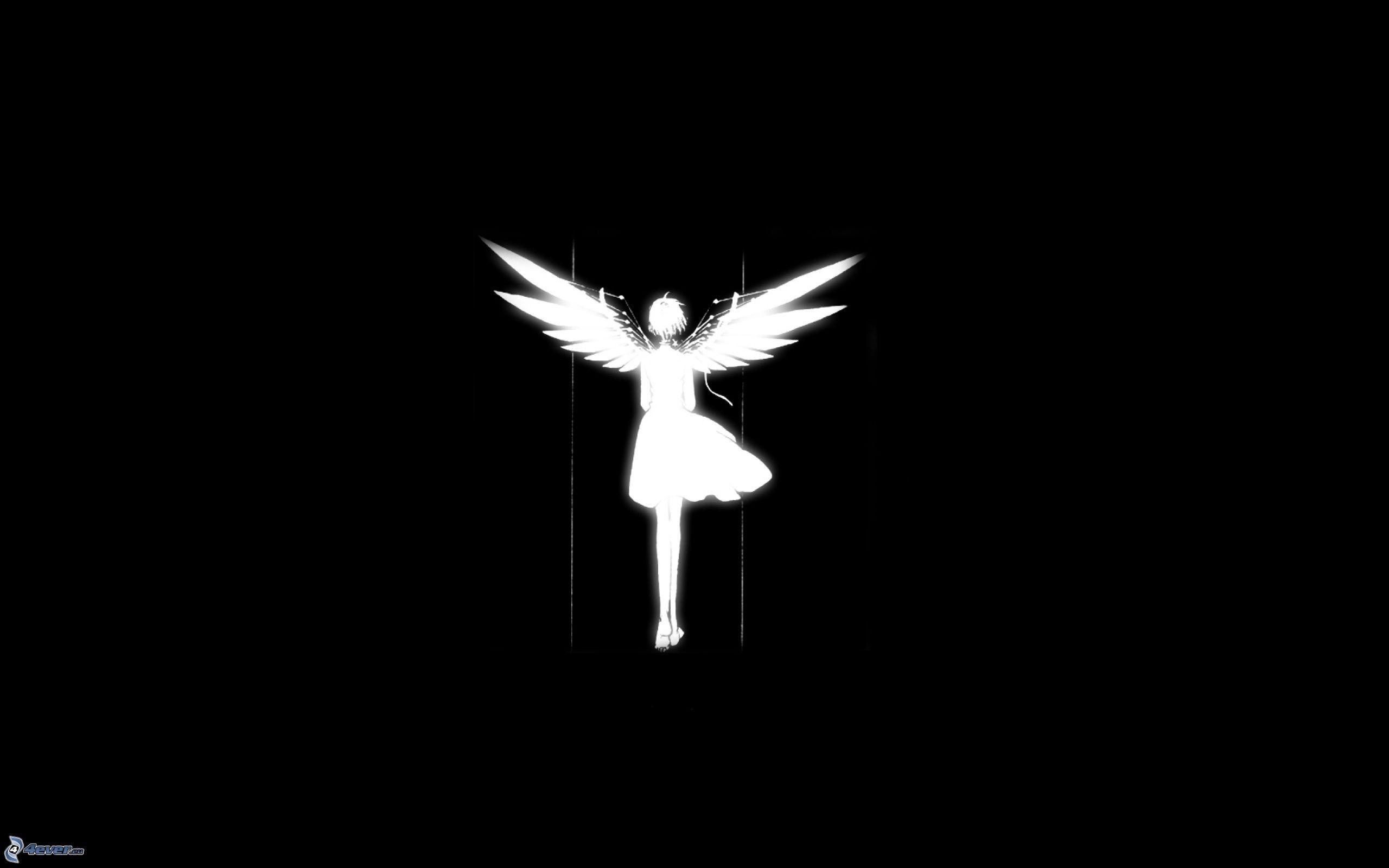 2560x1600 Angel
