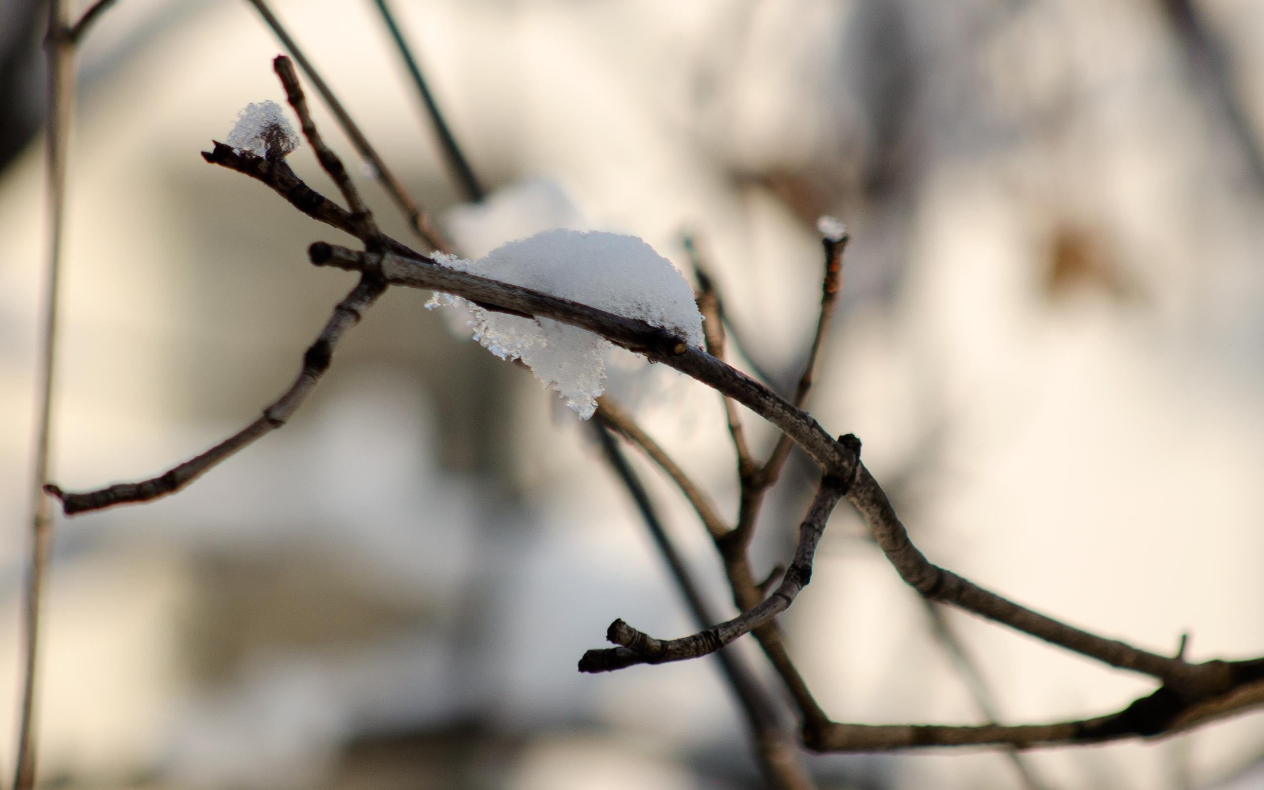2560x1600 Warm Winter wallpaper. Warm Winter