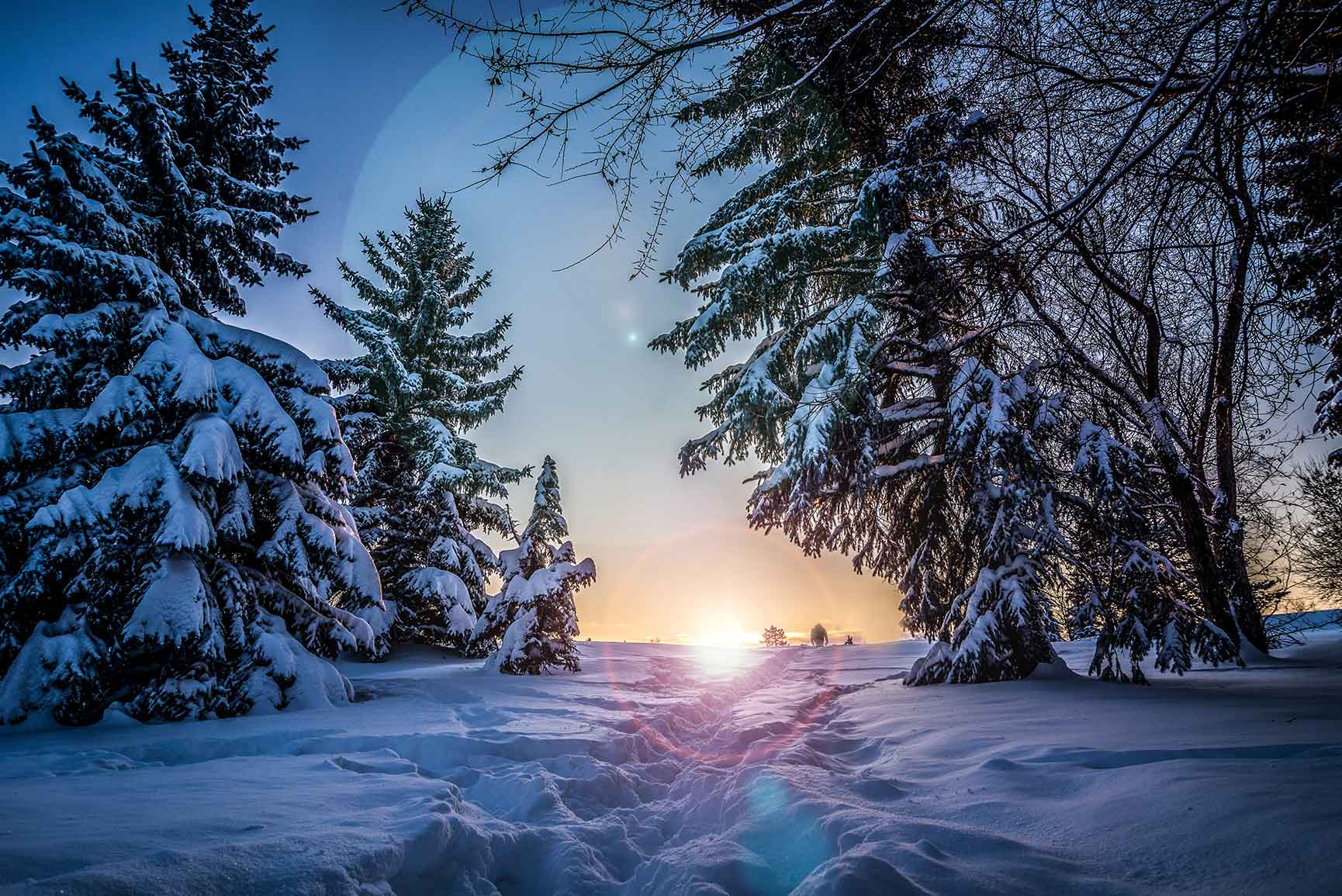 1730x1155 x Winter Wonderland iPhone Xs Wallpaper