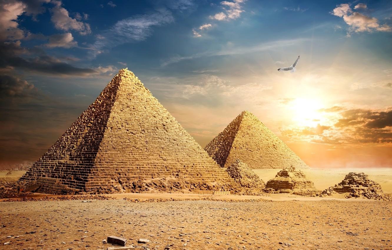 1332x850 Wallpaper the sky, the sun, clouds, stones, bird, desert, Egypt, pyramid, Cairo image for desktop, section пейзажи