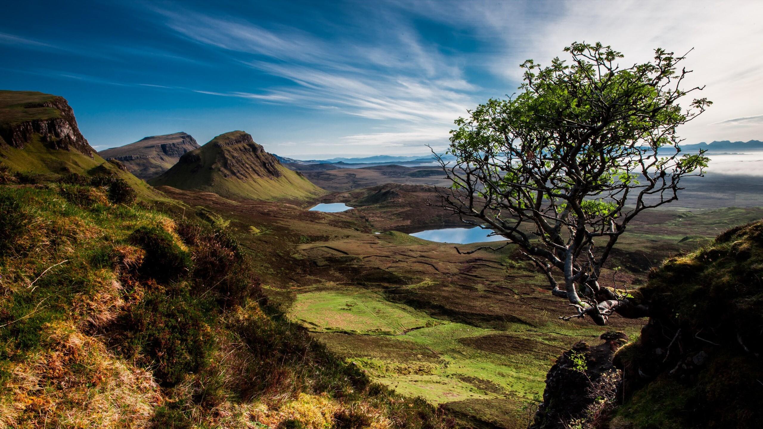 2560x1440 Scotland Trees Mountains Lake 1440P Resolution HD 4k Wallpaper, Image, Background, Photo and Picture