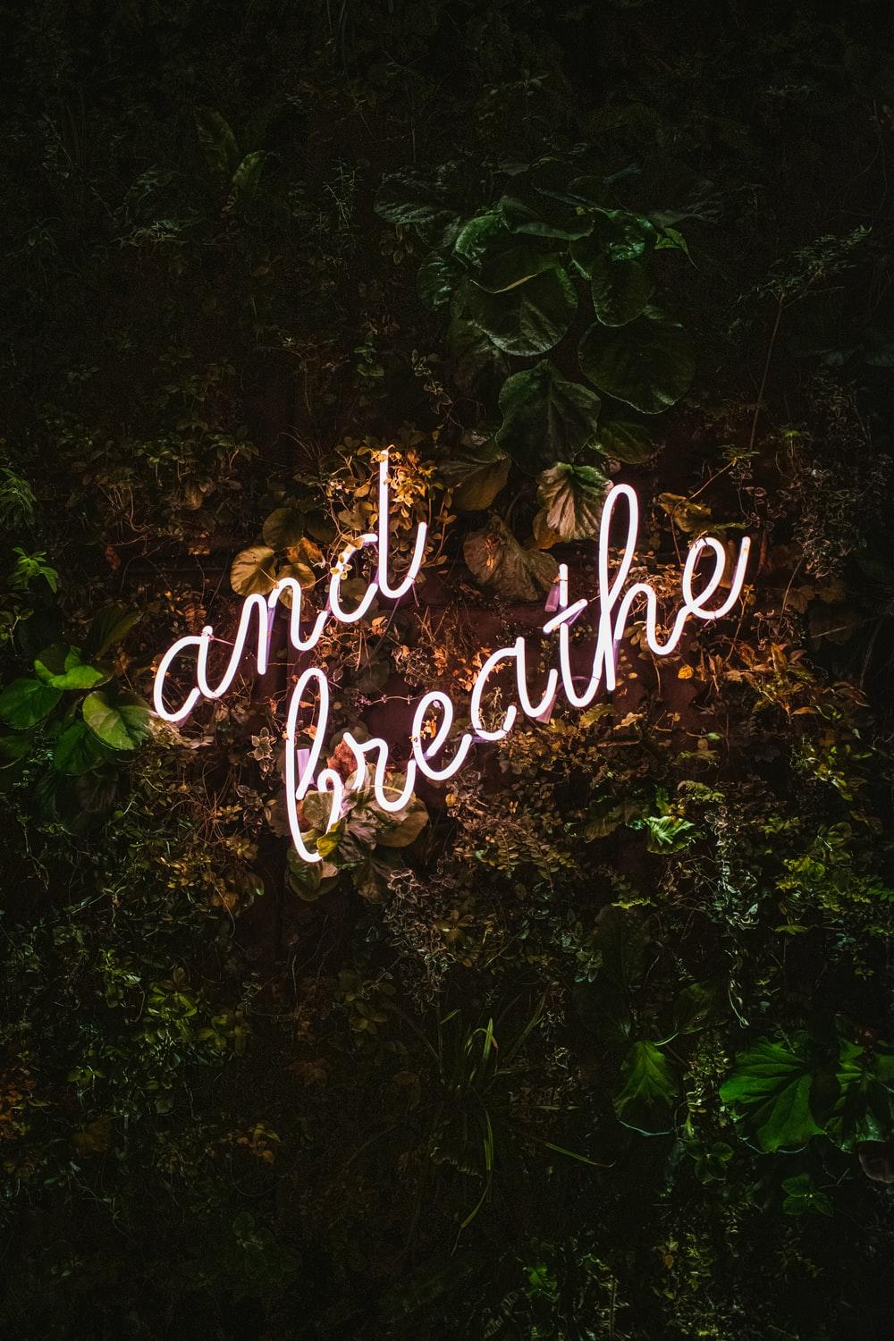 1000x1500 Breathe Picture [HD]. Download Free Image