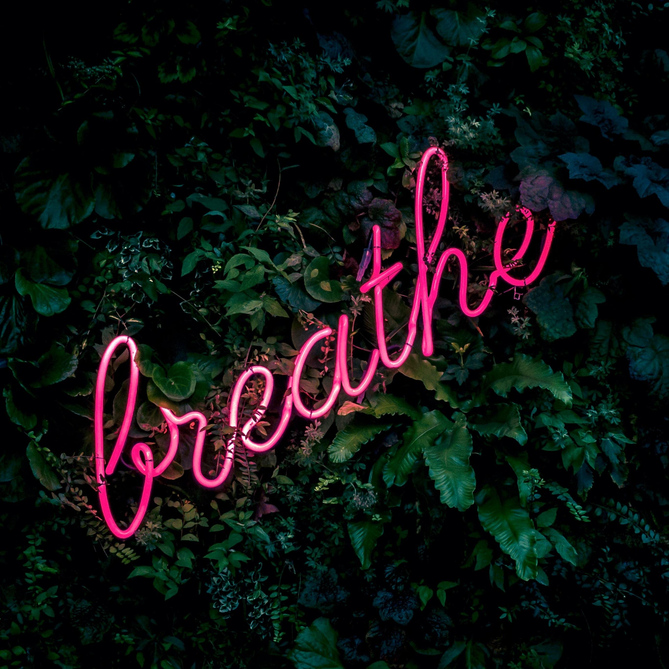 2732x2732 Breathe Wallpaper 4K, Neon sign, Green background, Green leaves, Pink, Quotes