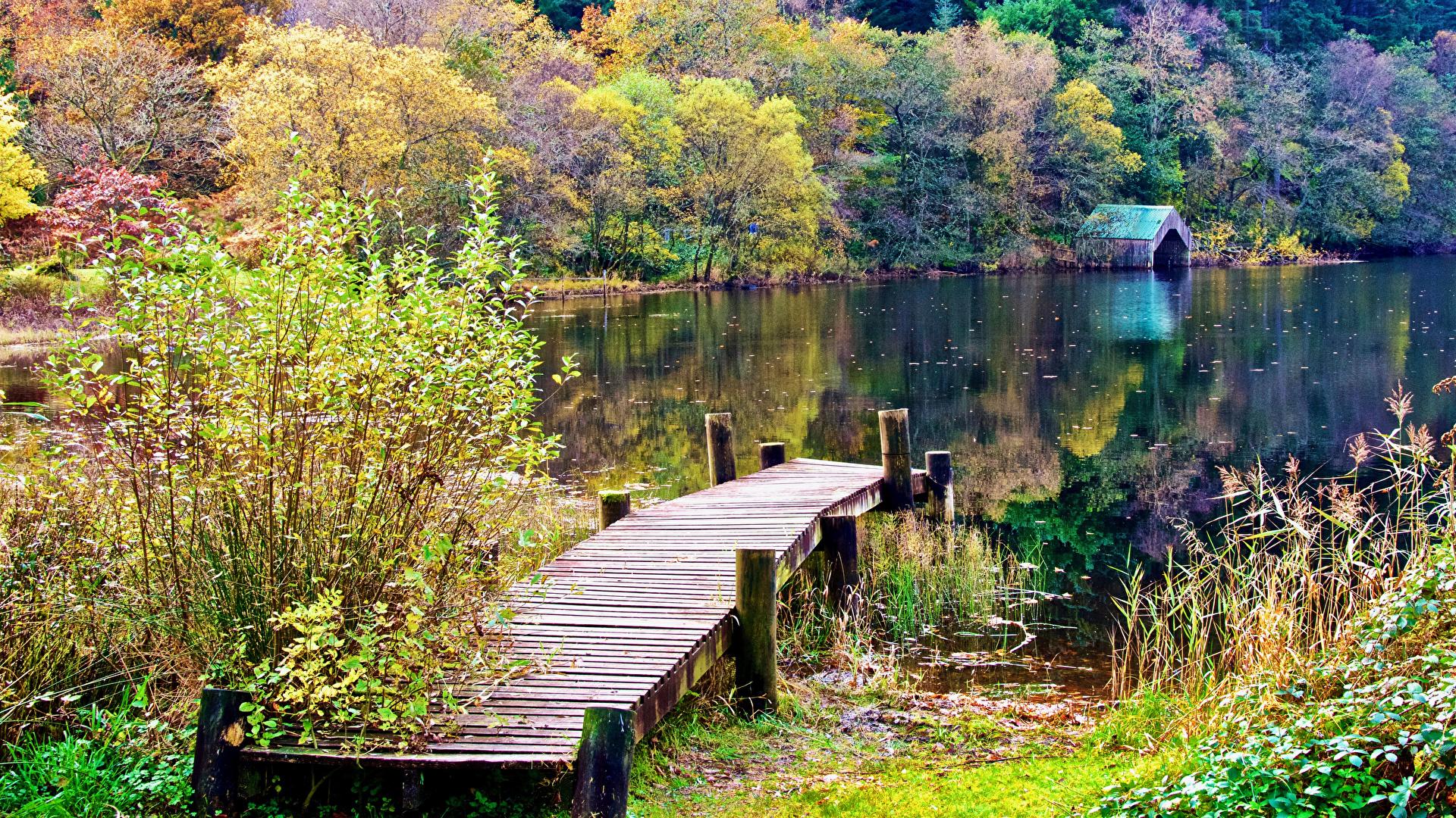 1920x1080 Photos Scotland Aberfoyle Autumn Nature Lake forest Berth 1920x1080