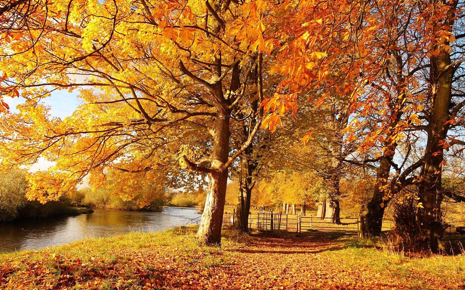 Scotland Autumn Wallpapers - Top Free Scotland Autumn Backgrounds ...