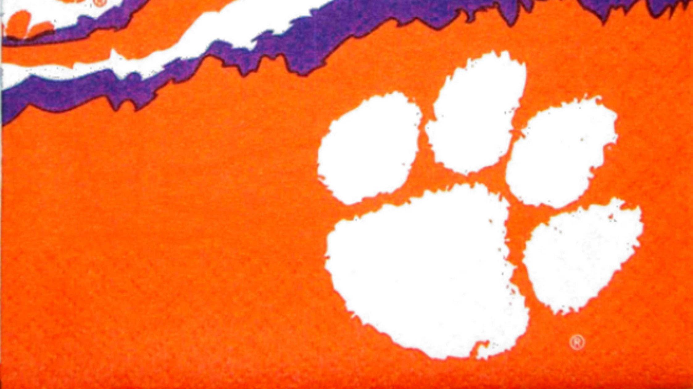 Clemson Tigers Desktop Organizer - Distressed Team Logo With Color Accents